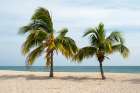 Ancon beach, Cuba. Two palm trees on the shoreline of Ancon beach, Cuba. Art Print